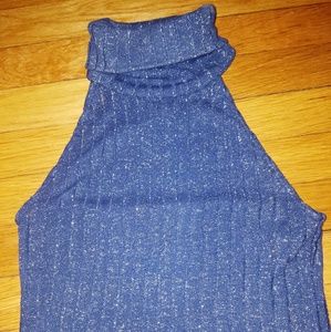 Glitter zara turtleneck crop top